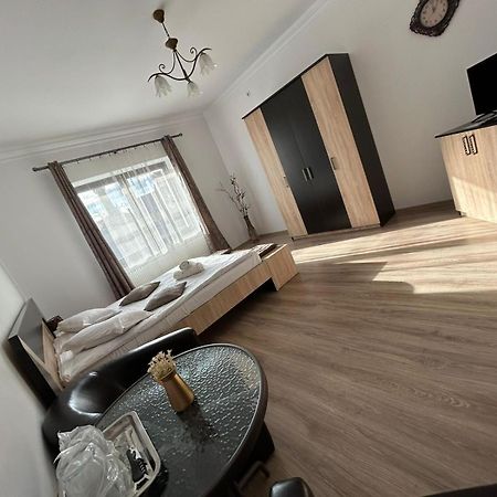 Vila Lion Sebeş Εξωτερικό φωτογραφία