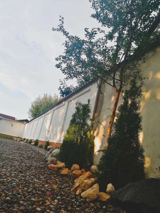 Vila Lion Sebeş Εξωτερικό φωτογραφία