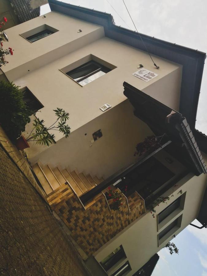 Vila Lion Sebeş Εξωτερικό φωτογραφία