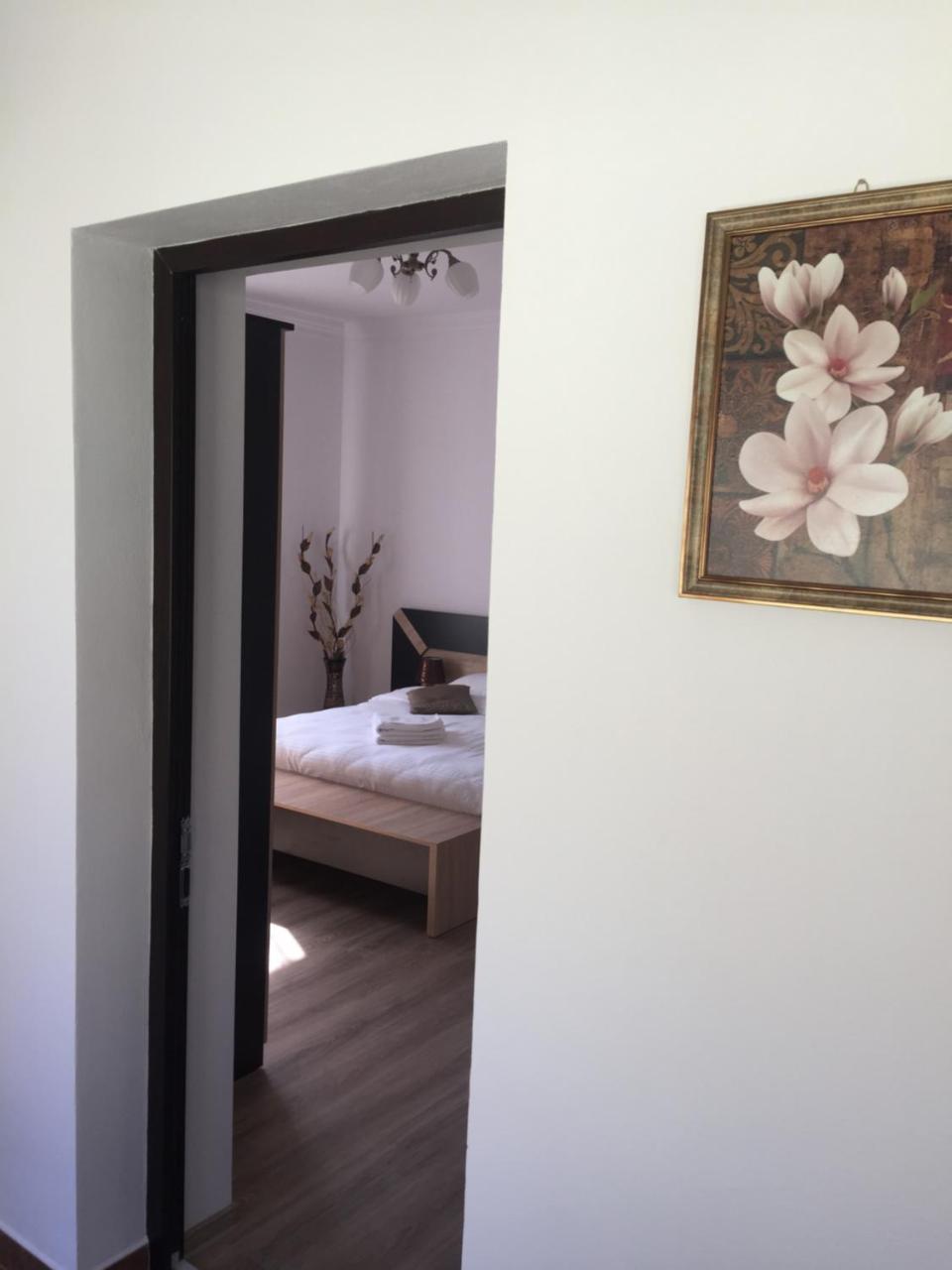 Vila Lion Sebeş Εξωτερικό φωτογραφία