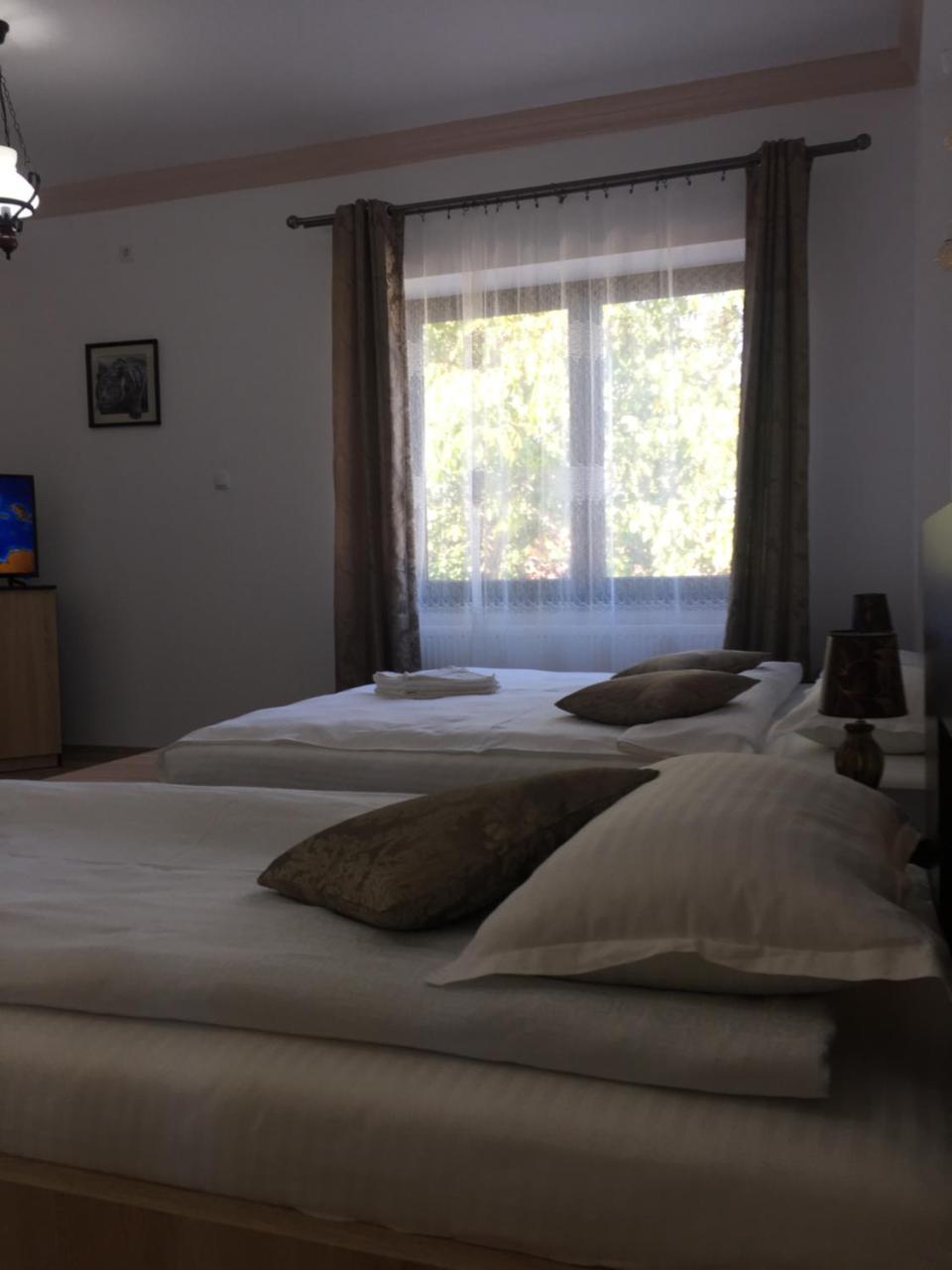 Vila Lion Sebeş Εξωτερικό φωτογραφία