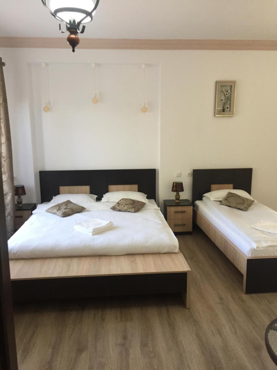 Vila Lion Sebeş Εξωτερικό φωτογραφία