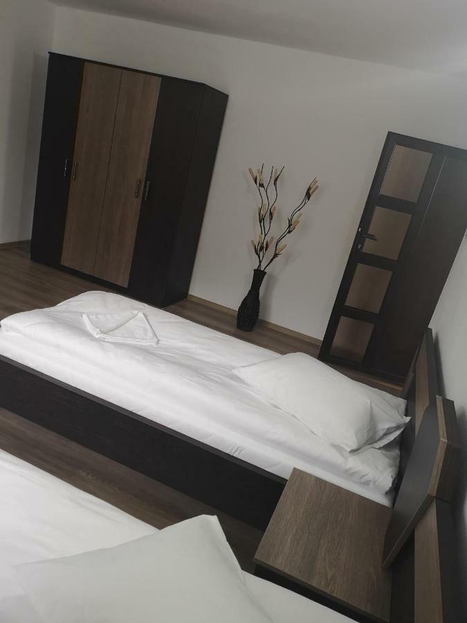 Vila Lion Sebeş Εξωτερικό φωτογραφία