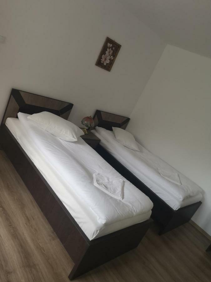 Vila Lion Sebeş Εξωτερικό φωτογραφία