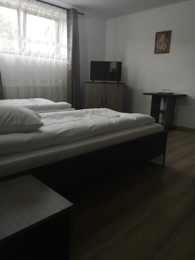 Vila Lion Sebeş Εξωτερικό φωτογραφία