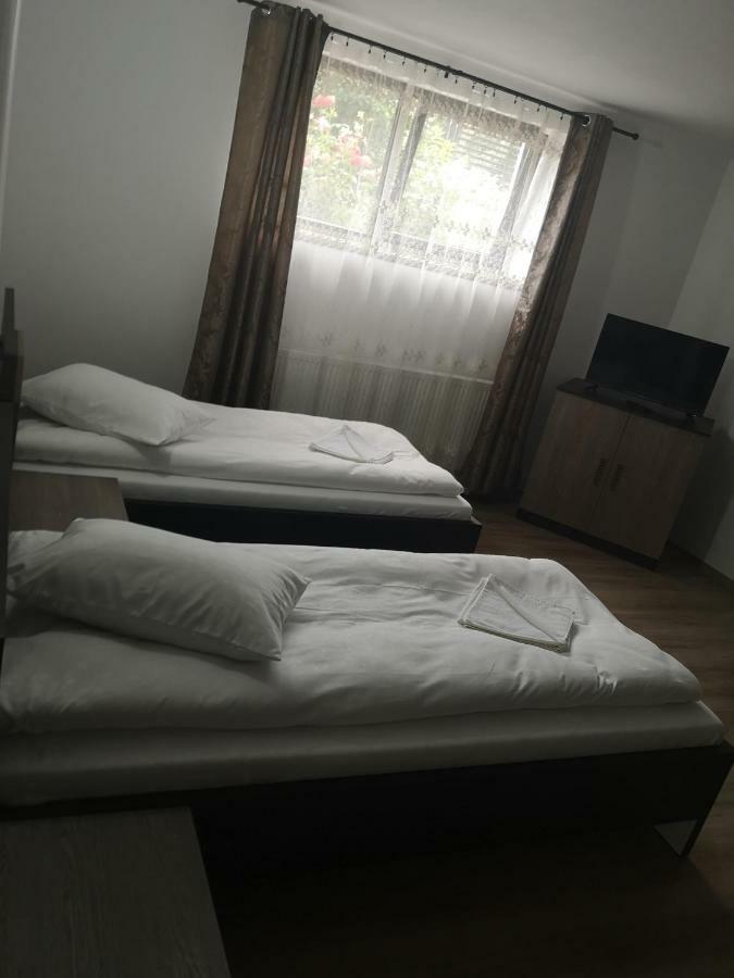Vila Lion Sebeş Εξωτερικό φωτογραφία