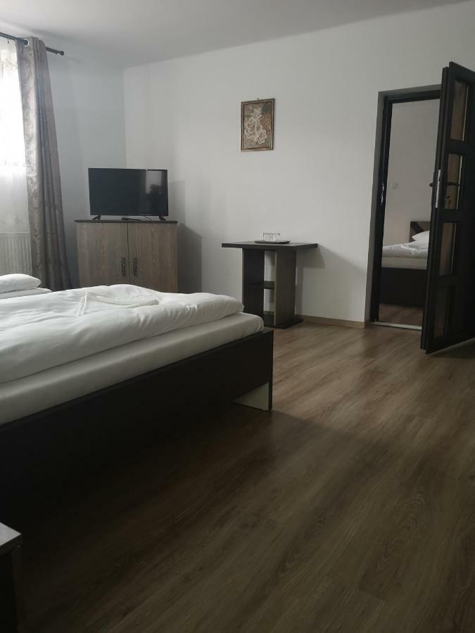 Vila Lion Sebeş Εξωτερικό φωτογραφία